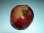 Rare apple chimera: Gala;  picture from John Caesar. Click on the apple to read the article
