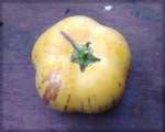 pepino fruit; an unusual member of the solanum family