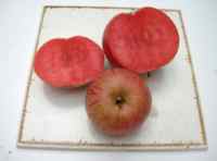 Rubaiyat, red-fleshed apple