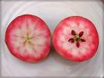 weirouge; german apple; redfleshed commercial variety