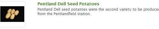 pentland-dell seed potatoes