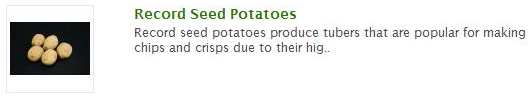 record seed potatoes