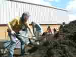 Spreading compost at the Alara garden near King's Cross, London