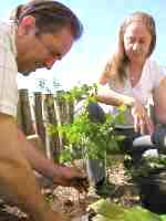 Planting in the Alara garden near King's Cross, London