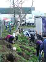 Mass digging on vine planting day in the Alara garden near King's Cross, London