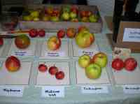 Sapcote Applefest, 18 Oct 2014