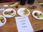 leicester university botanical gardens: heritage plant sale, sep 2012, leicestershire heritage apples project, first public tasting of Langton's Nonesuch