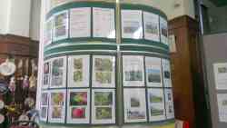 plant and family day, Botanical garden, Leicester, 2024