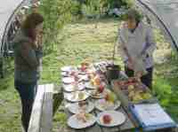 broombriggs farm apple day