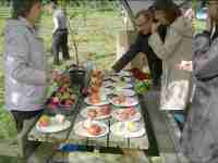 broombriggs farm apple day