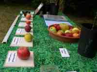LHAP at carisbrooke rd arboretum