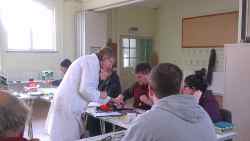 Cosby grafting course, 2025