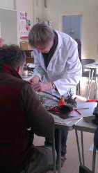 Cosby grafting course, 2025