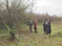 Pruning apples at Cotesbach on a gloomy autumn day 