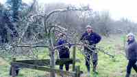 pruning at Cotesbach