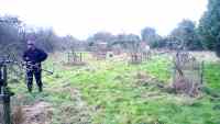 pruning at Cotesbach