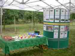 Donisthorpe apple day 