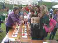 Donisthorpe apple day 2017