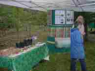 In the community orchard, during the storm