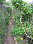garden-path jun 2015