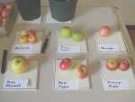 apple talk, gilmorton, Nov 2018