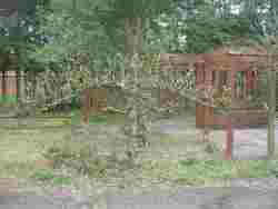 restoring the orchard, secret garden, glenfield, apr 20192019,