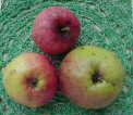 High Cross Apple