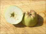 apple, leicesters burton pippin