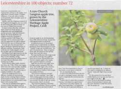 leicester mercury report on leicestershire heritage apples, scan of the page