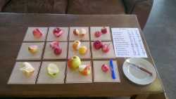 Apple tasting, Kilworth Marina, 2024