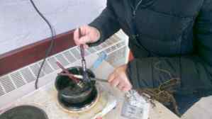 Market Harborough grafting workshop, 2020