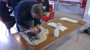 Market Harborough grafting workshop, 2020