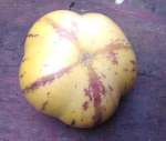 pepino fruit; an unusual member of the solanum family
