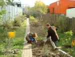Permaculture - new garden on an old rubbish tip