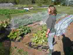 Open Day  Raw n Pure, 2018, Polebrook Hayes Organic Farm