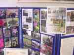 apple fest, sapcote methodist church 2011