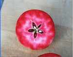 Red-fleshed apple, photo from stefan dubbelman, sweden.