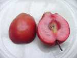 malus soulardii, red-fleshed apple