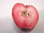 weirouge; german redfleshed dessert apple 