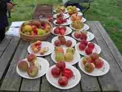 apple day 2018, Woodhouse Eaves
